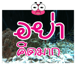 PluakPlease Stop Please sticker #14915941