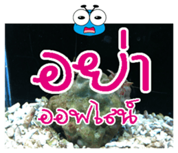 PluakPlease Stop Please sticker #14915942