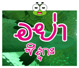 PluakPlease Stop Please sticker #14915943