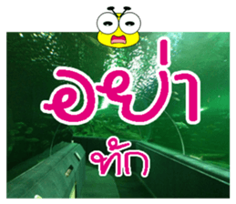 PluakPlease Stop Please sticker #14915944