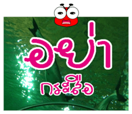 PluakPlease Stop Please sticker #14915945