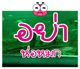 PluakPlease Stop Please sticker #14915946