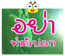 PluakPlease Stop Please sticker #14915949