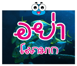 PluakPlease Stop Please sticker #14915952