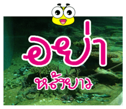 PluakPlease Stop Please sticker #14915954