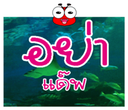 PluakPlease Stop Please sticker #14915955