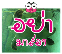 PluakPlease Stop Please sticker #14915956