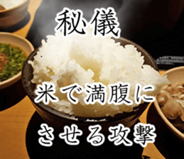 Let's go to the pot sticker #14916306