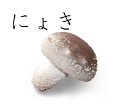 Let's go to the pot sticker #14916313