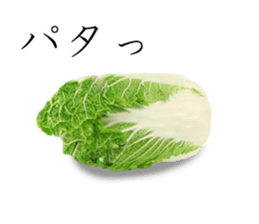 Let's go to the pot sticker #14916314