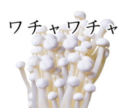 Let's go to the pot sticker #14916316