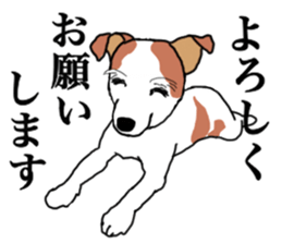 MARINE the Jack Russell Terrier sticker #14916926