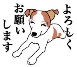MARINE the Jack Russell Terrier sticker #14916926