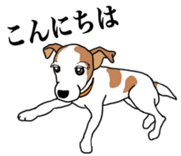 MARINE the Jack Russell Terrier sticker #14916930