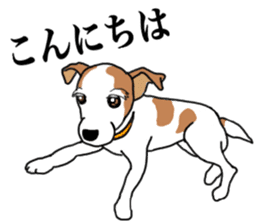 MARINE the Jack Russell Terrier sticker #14916930