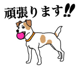 MARINE the Jack Russell Terrier sticker #14916934