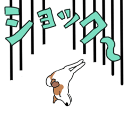 MARINE the Jack Russell Terrier sticker #14916947