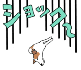 MARINE the Jack Russell Terrier sticker #14916947