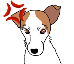 MARINE the Jack Russell Terrier sticker #14916949