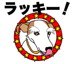 MARINE the Jack Russell Terrier sticker #14916953