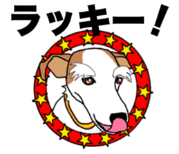 MARINE the Jack Russell Terrier sticker #14916953