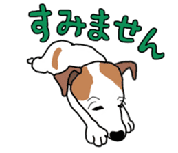 MARINE the Jack Russell Terrier sticker #14916962