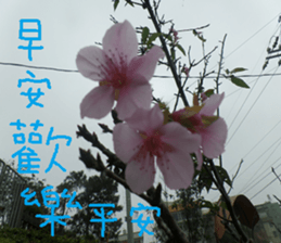 Water garden sticker #14917318