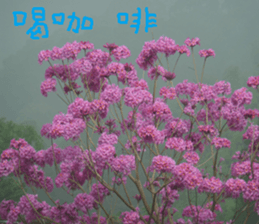 Water garden sticker #14917319