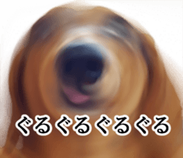 Dachs of my place sticker #14918566