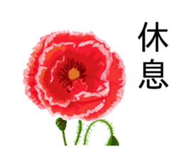 flowers language sticker #14919096