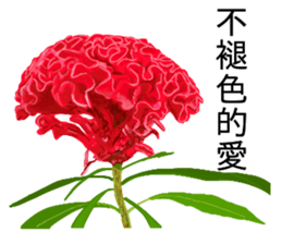 flowers language sticker #14919097