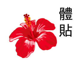 flowers language sticker #14919098