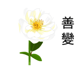 flowers language sticker #14919099