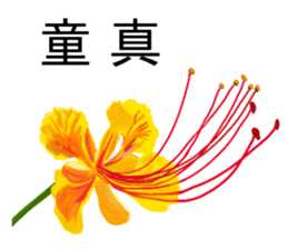 flowers language sticker #14919102