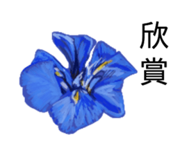 flowers language sticker #14919103