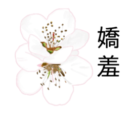 flowers language sticker #14919105