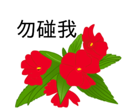 flowers language sticker #14919106