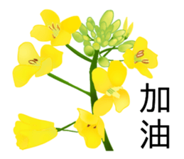 flowers language sticker #14919107
