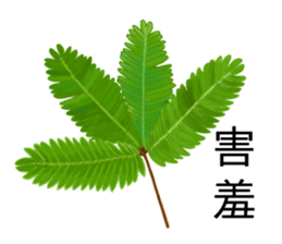 flowers language sticker #14919109