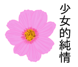 flowers language sticker #14919110