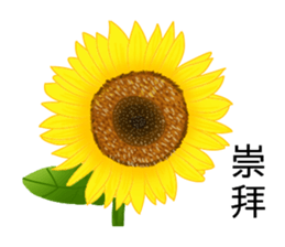 flowers language sticker #14919118