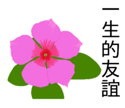 flowers language sticker #14919126
