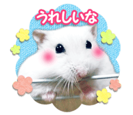 Djungarian hamster -Daifuku- Photo ver.2 sticker #14919521