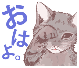 tiny tiny tiny kittens sticker #14919673