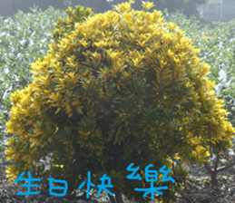 Want to come sticker #14920315