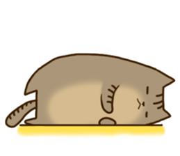 Brown tabby stamp sticker #14921873
