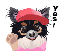 Cute Chihuahua stickers cheer you up! sticker #14921991
