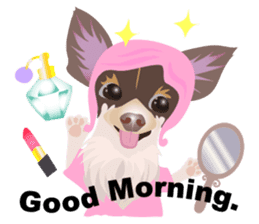 Cute Chihuahua stickers cheer you up! sticker #14922016