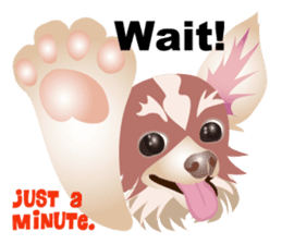 Cute Chihuahua stickers cheer you up! sticker #14922029