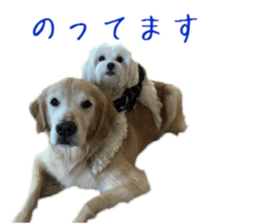 Gormart family 2 sticker #14922502